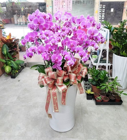 The Flower