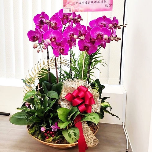 The Flower