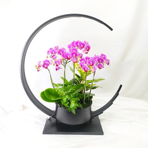 The Flower