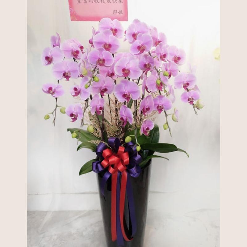 The Flower
