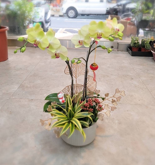 The Flower