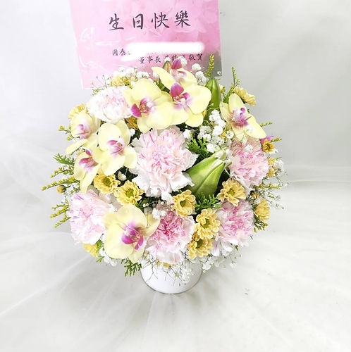 The Flower鮮花花禮 精緻康乃馨盆花 母親節康乃馨盆花