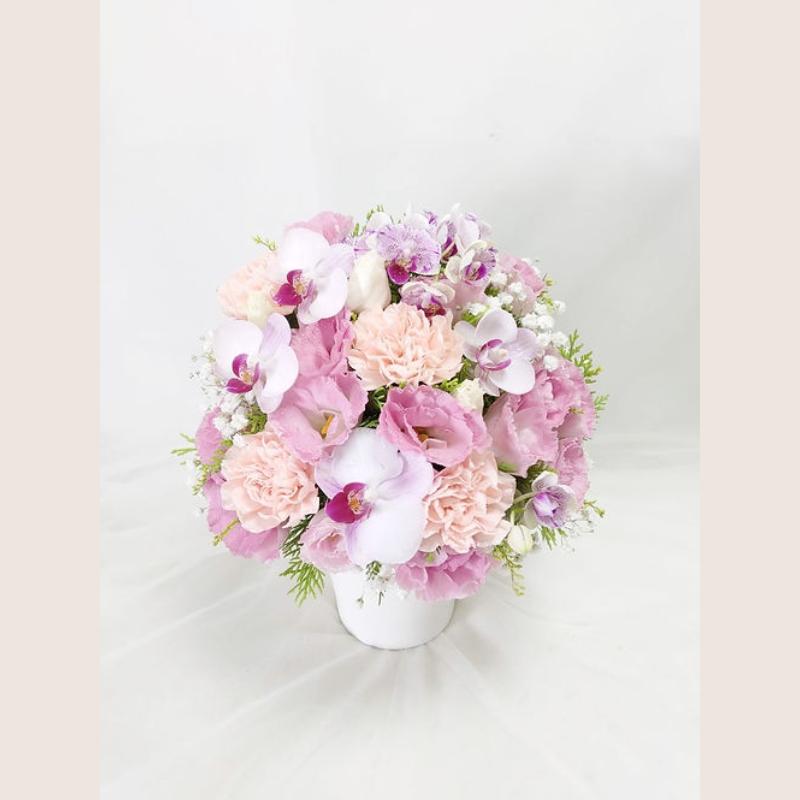 The Flower鮮花花禮 精緻康乃馨盆花 母親節康乃馨盆花