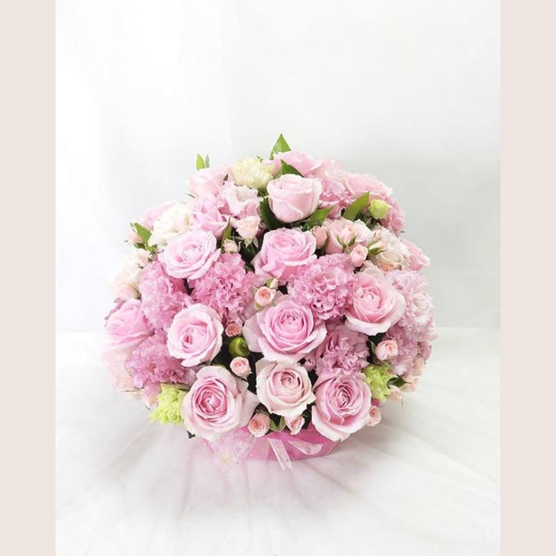 The Flower鮮花花禮 康乃馨與玫瑰盆花 母親節花禮推薦