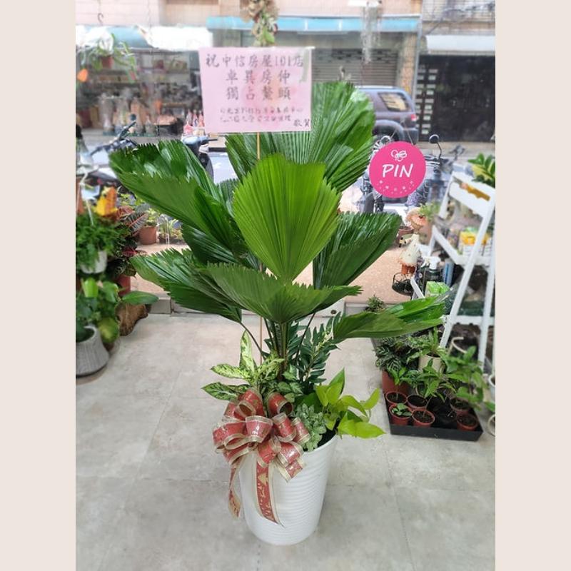 The Flower