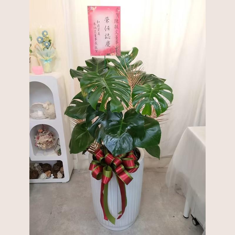 The Flower